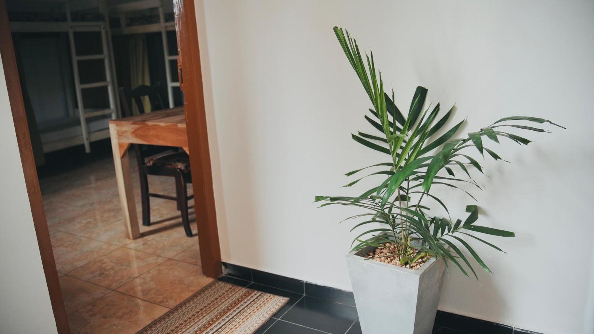 Dreamy Surf House Hotel Weligama Luaran gambar