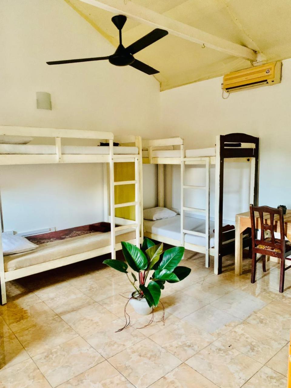 Dreamy Surf House Hotel Weligama Luaran gambar